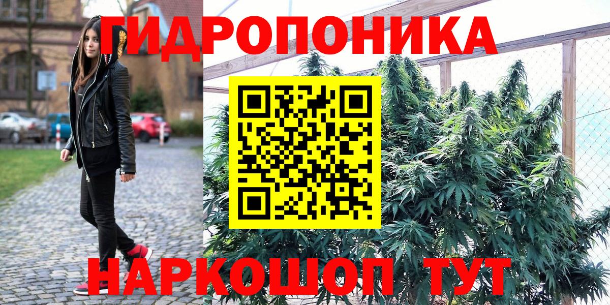 Конопля конопля Саранск